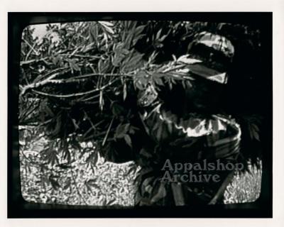 Bluegrass, Blackmarket production still