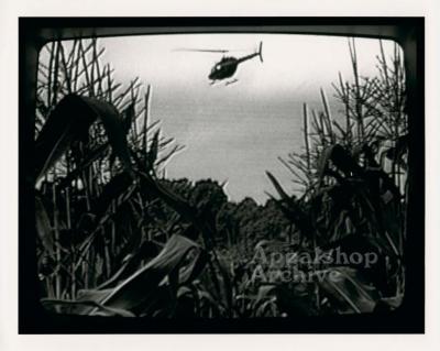 Bluegrass, Blackmarket production still