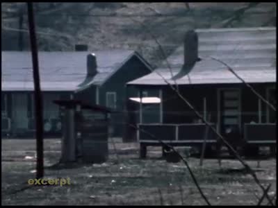 Buffalo Creek Revisited