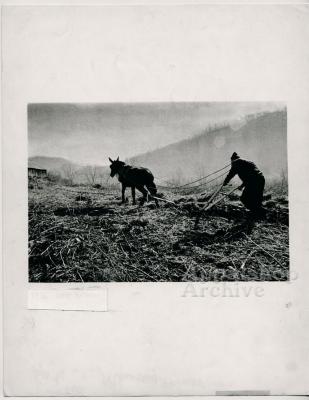 Lee Banks:  Mountain Farmer production still