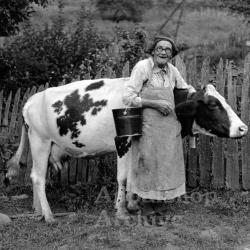 Portrait of Mary Jane Mullins Dotson with cow