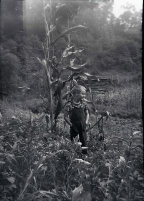 Image of boy in bean garden