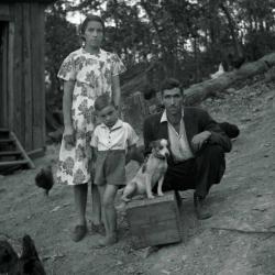Portrait of a couple with their young son and family dog