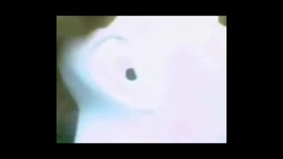An Elaborate Dream (AMI)