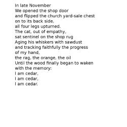 Cat Poem, November