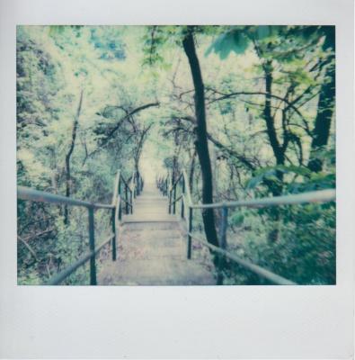 Mis.Steps: Our Missed Connections with Pittsburgh's City Steps