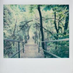 Mis.Steps: Our Missed Connections with Pittsburgh's City Steps