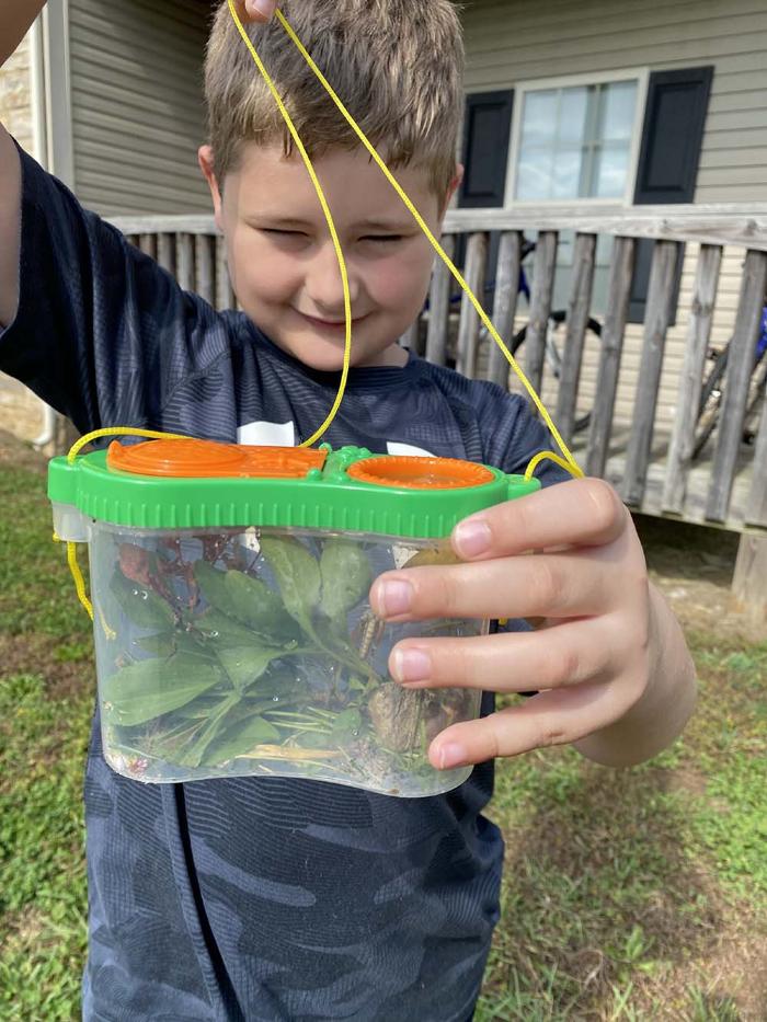 Class Pet