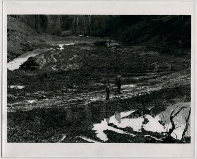 Strip Mining:  Energy, Environment, and Economics production still